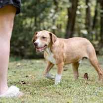 Thumbnail photo of Butter #4