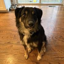 Thumbnail photo of Shadow #2