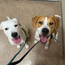 Thumbnail photo of Bill #2