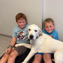 Thumbnail photo of Bill #4