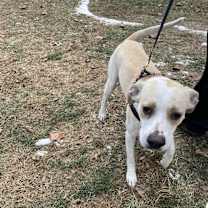 Thumbnail photo of Dakota #2