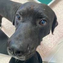 Thumbnail photo of LOGAN #2