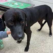 Thumbnail photo of LOGAN #3