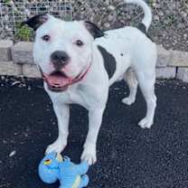 Thumbnail photo of Juice #1