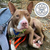 Thumbnail photo of Russell #3