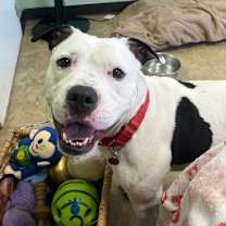 Thumbnail photo of Juice #3