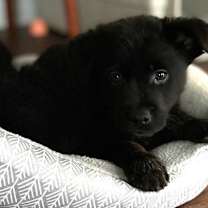 Thumbnail photo of Theresa #1