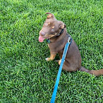 Thumbnail photo of Bean #4