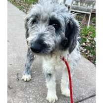 Thumbnail photo of Dana #1