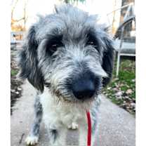 Thumbnail photo of Dana #3