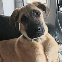 Thumbnail photo of Serena #2