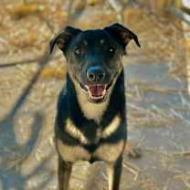 Thumbnail photo of Meela #1