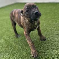 Thumbnail photo of BERMUDA 0042 #1