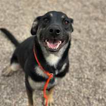 Thumbnail photo of Meela #2