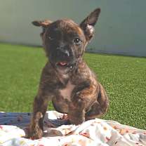 Thumbnail photo of BERMUDA 0042 #4