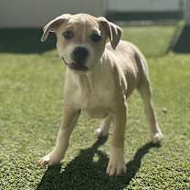 Thumbnail photo of TIFTON 1614 #1