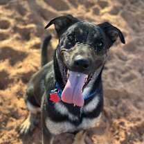 Thumbnail photo of Meela #3