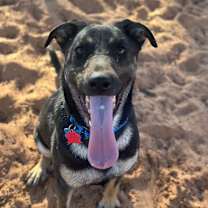 Thumbnail photo of Meela #4