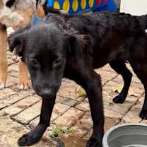 Thumbnail photo of BABY SPICE #3