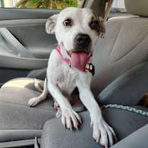 Thumbnail photo of Margo #4