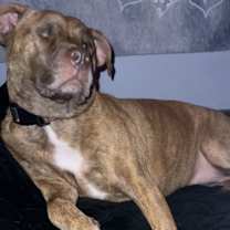 Thumbnail photo of Nyla #2