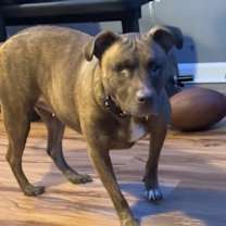 Thumbnail photo of Nyla #3