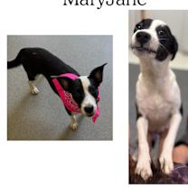 Thumbnail photo of Mary Jane #1