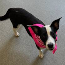 Thumbnail photo of Mary Jane #2