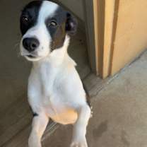 Thumbnail photo of Mary Jane #3