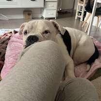 Thumbnail photo of Charcoal #2