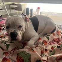 Thumbnail photo of Charcoal #3