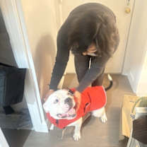 Thumbnail photo of Charcoal #4