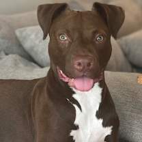 Thumbnail photo of Clay #4