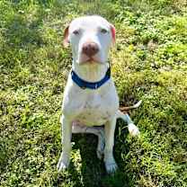 Thumbnail photo of Samuel #3