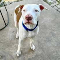 Thumbnail photo of Samuel #4