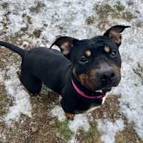 Thumbnail photo of Jane #2