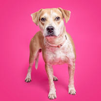 Thumbnail photo of Buddy #1