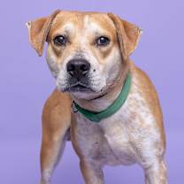 Thumbnail photo of Buddy #3