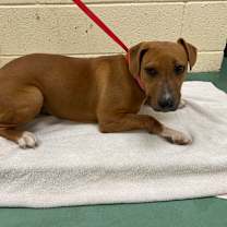 Thumbnail photo of Martha Mayhem  #2