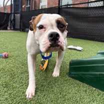 Thumbnail photo of Nyla #2