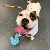 Thumbnail photo of Nyla #4