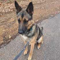 Thumbnail photo of Zeus #3