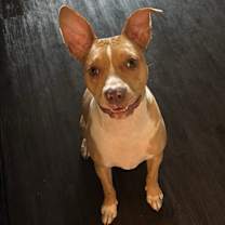 Thumbnail photo of Mia #1