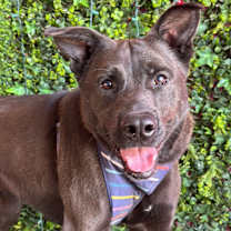 Thumbnail photo of Luis #3