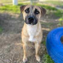 Thumbnail photo of Larry #2