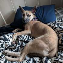 Thumbnail photo of Wrigley #3