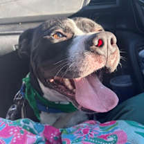 Thumbnail photo of Fabio #3