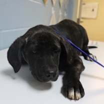 Thumbnail photo of 12-13 #1