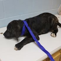 Thumbnail photo of 12-13 #2