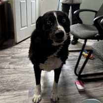 Thumbnail photo of Sara #2